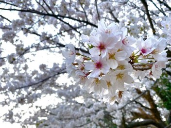 沢山のご来店ありがとうございました☆彡